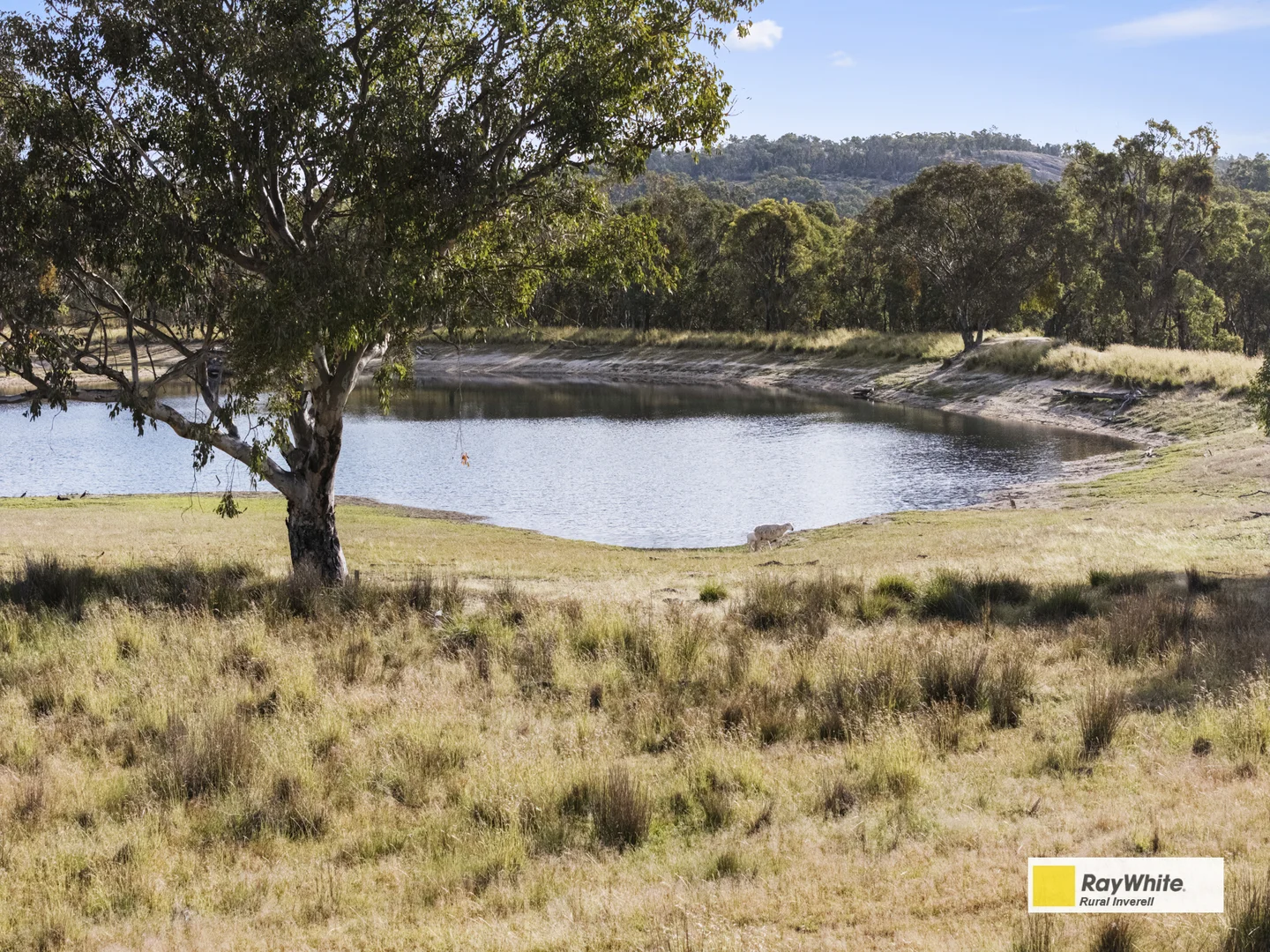 Additional image 8 of 'Bon Sante'/2720 Bingara Road, Inverell NSW 2360