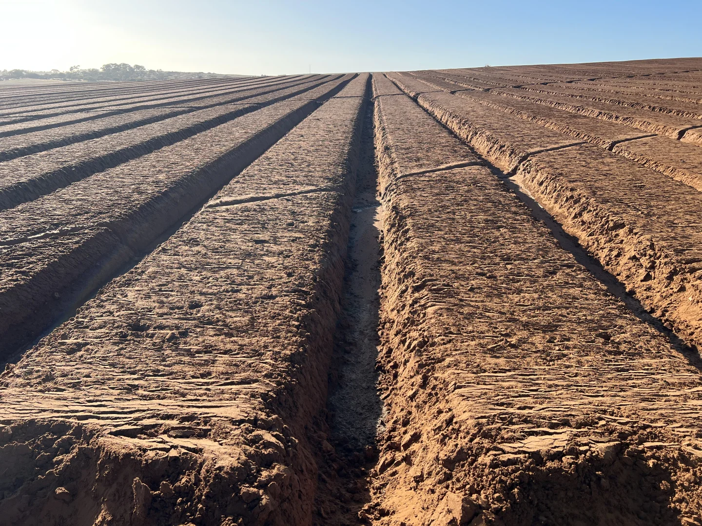 Additional image 9 of 66 Morrell Road, Bowhill SA 5238