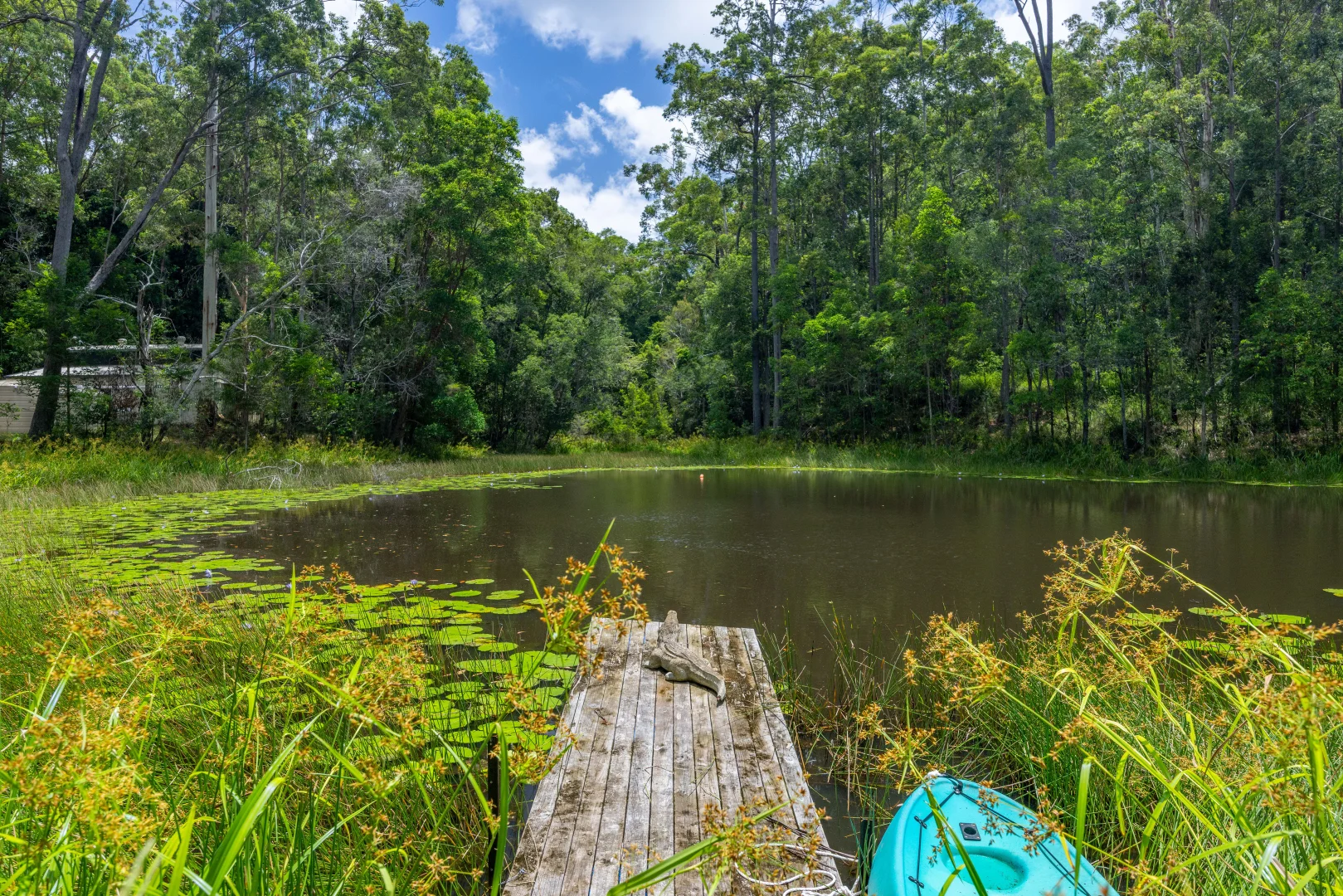 Additional image 27 of 272 Ringtail Creek Road, Ringtail Creek QLD 4565