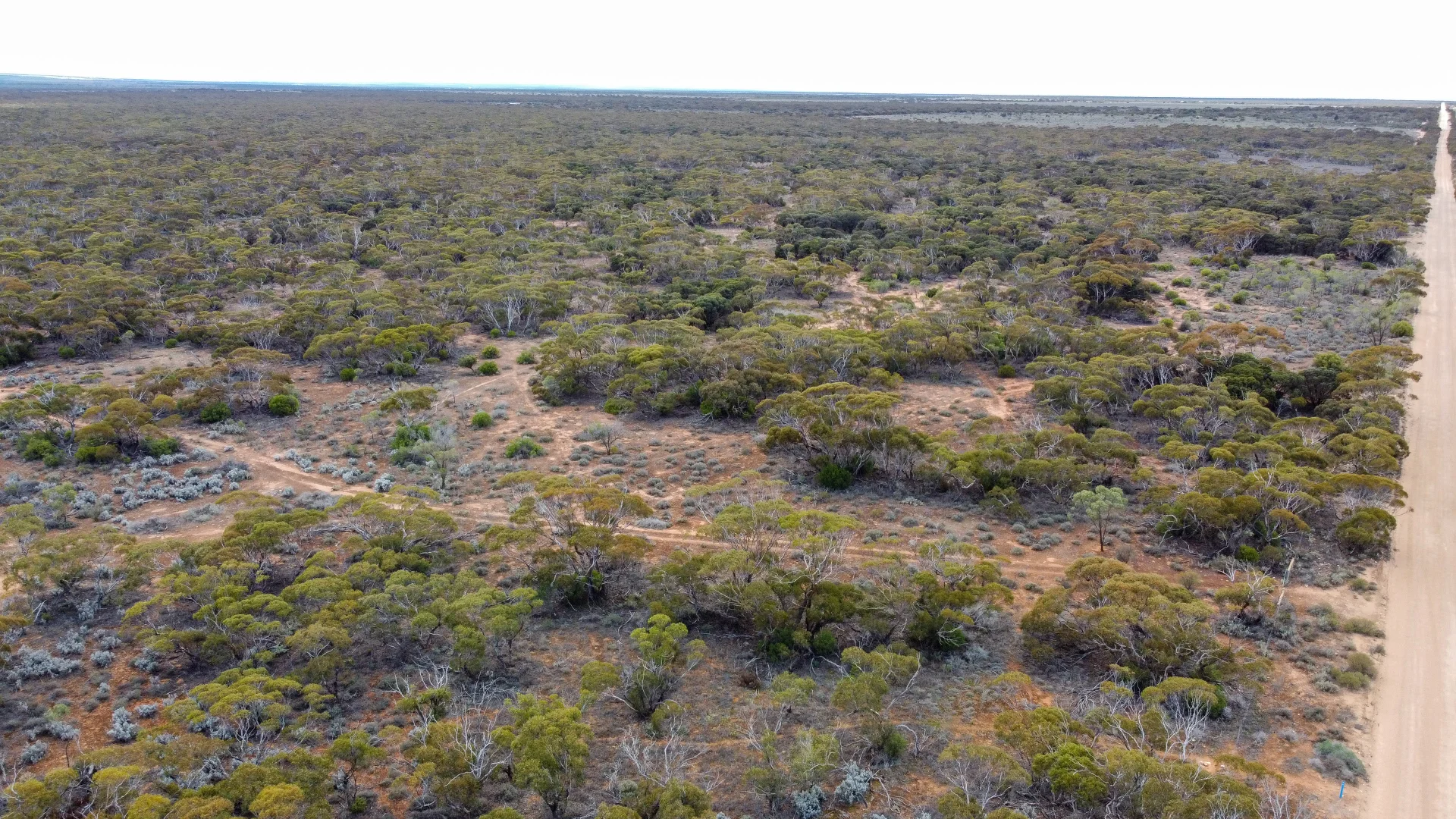 Additional image 13 of 1 Swallows Nest Road, Cowell SA 5602