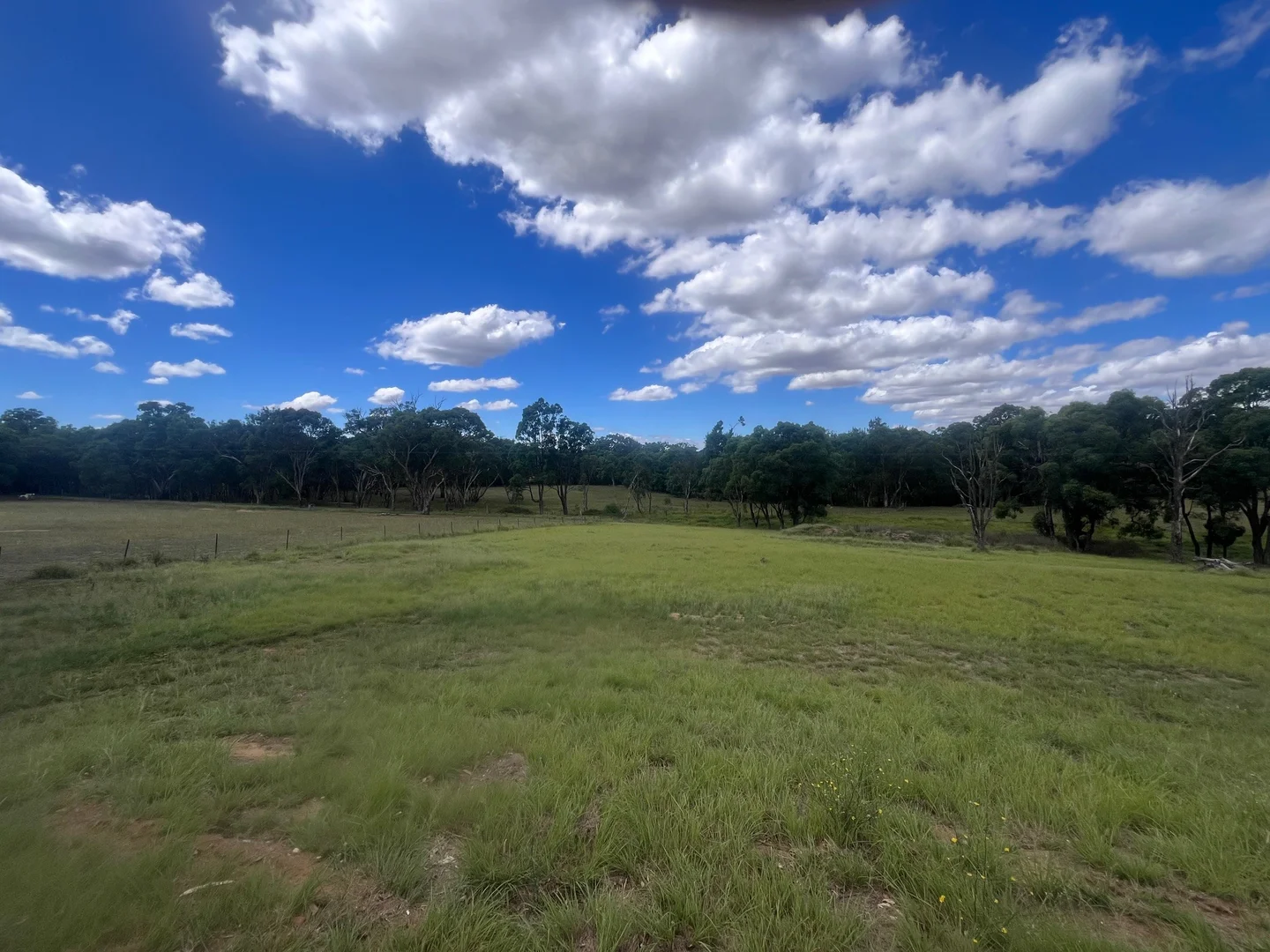 Additional image 27 of 122 Dows Lane, Coonabarabran NSW 2357