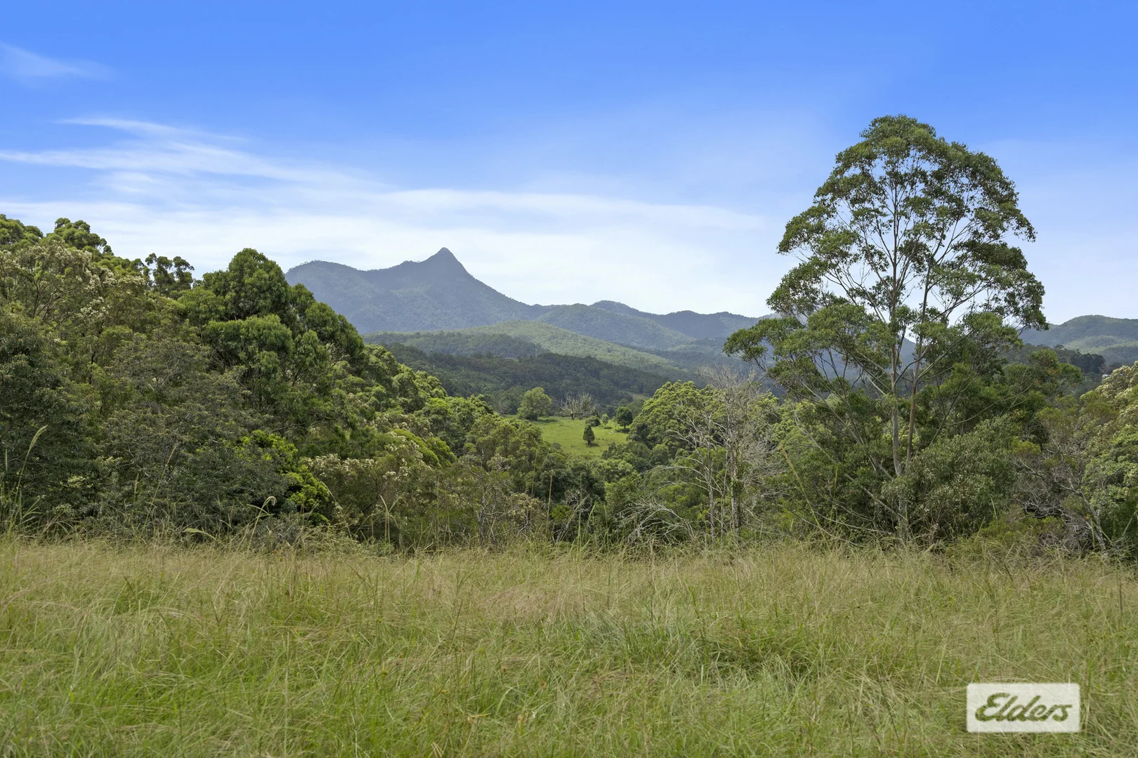 Additional image 24 of 354 Kunghur Creek Road, Kunghur Creek NSW 2484