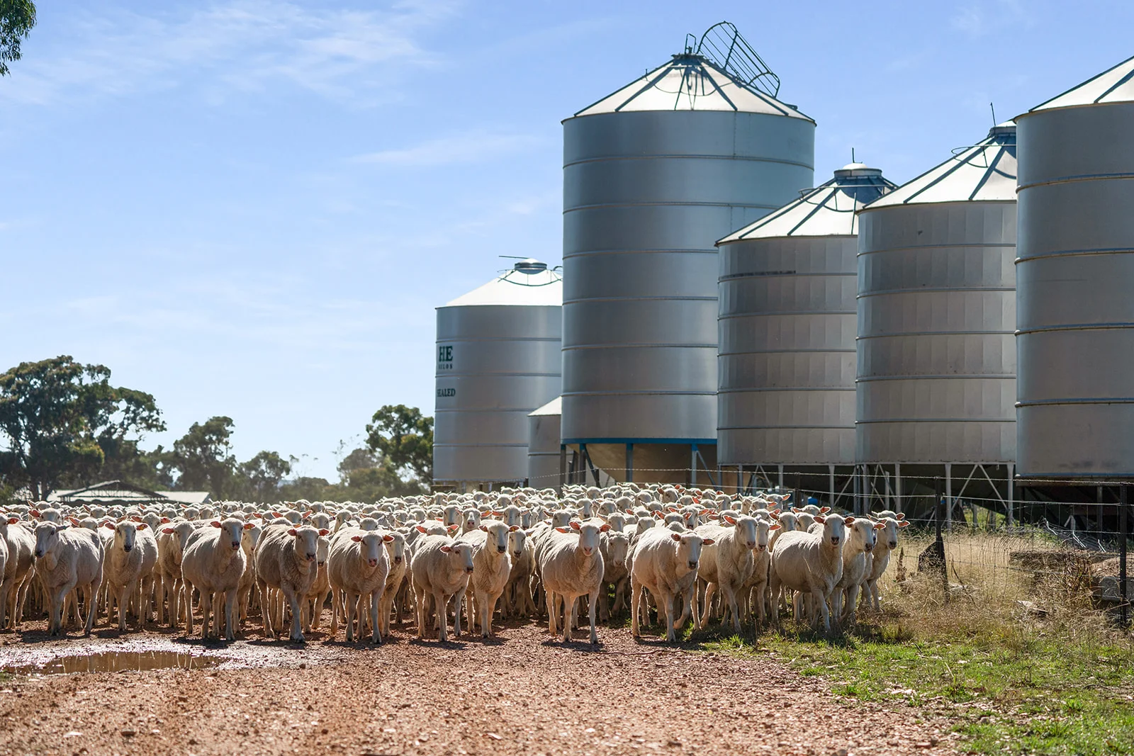 4844 Braidwood Road, Tirrannaville NSW 2580