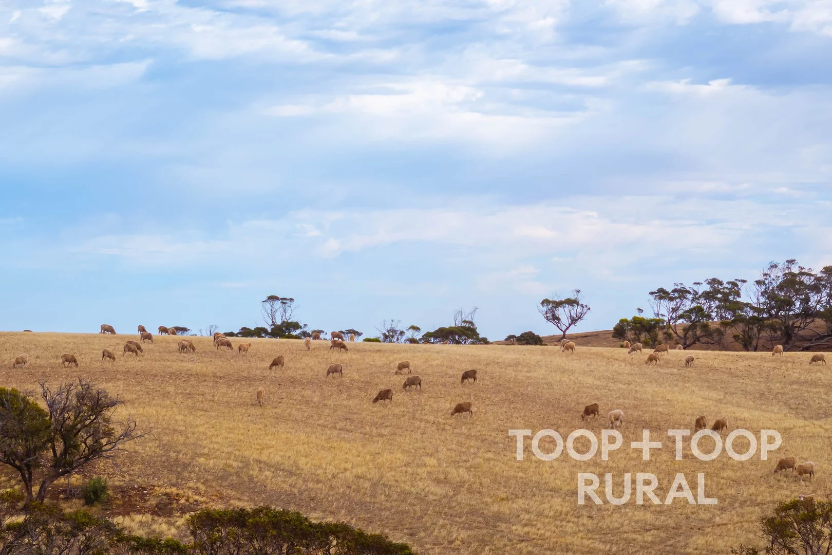 Goyder Road, Frankton SA 5374