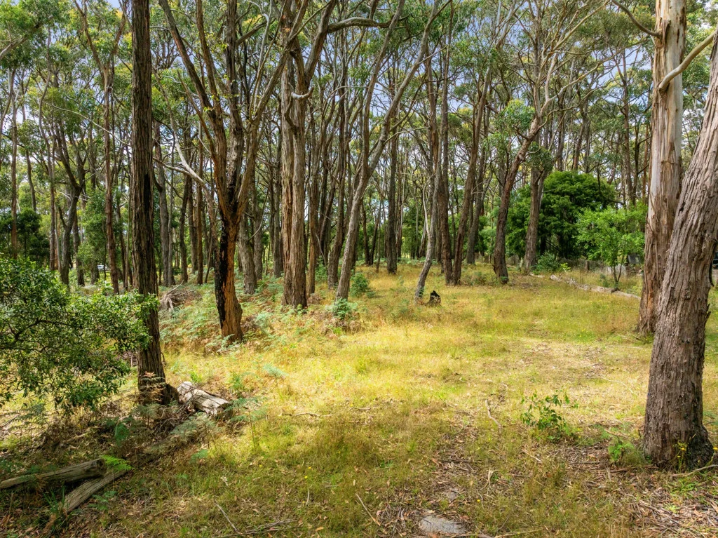 Additional image 6 of 93 Feeneys Lane, Benloch VIC 3435