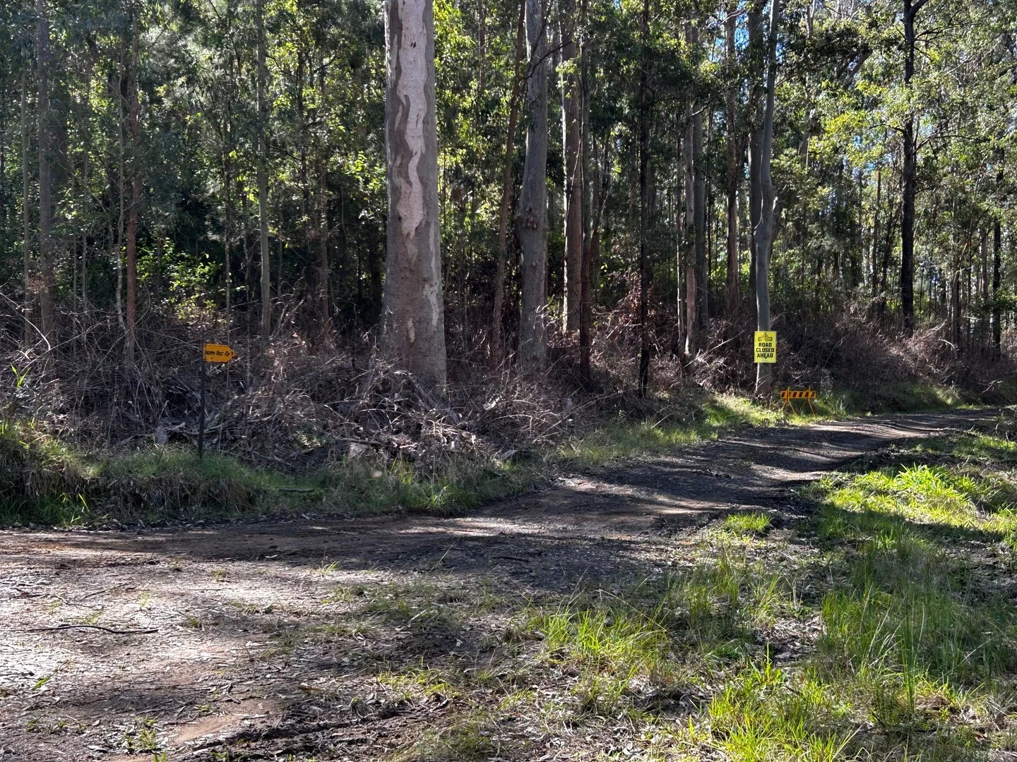 Additional image 12 of 506 Old Lawrence Road, Casino NSW 2470