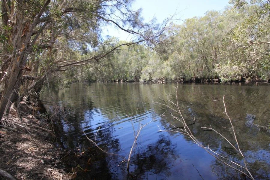 Additional image 19 of 9 Coe Road, Deepwater QLD 4674