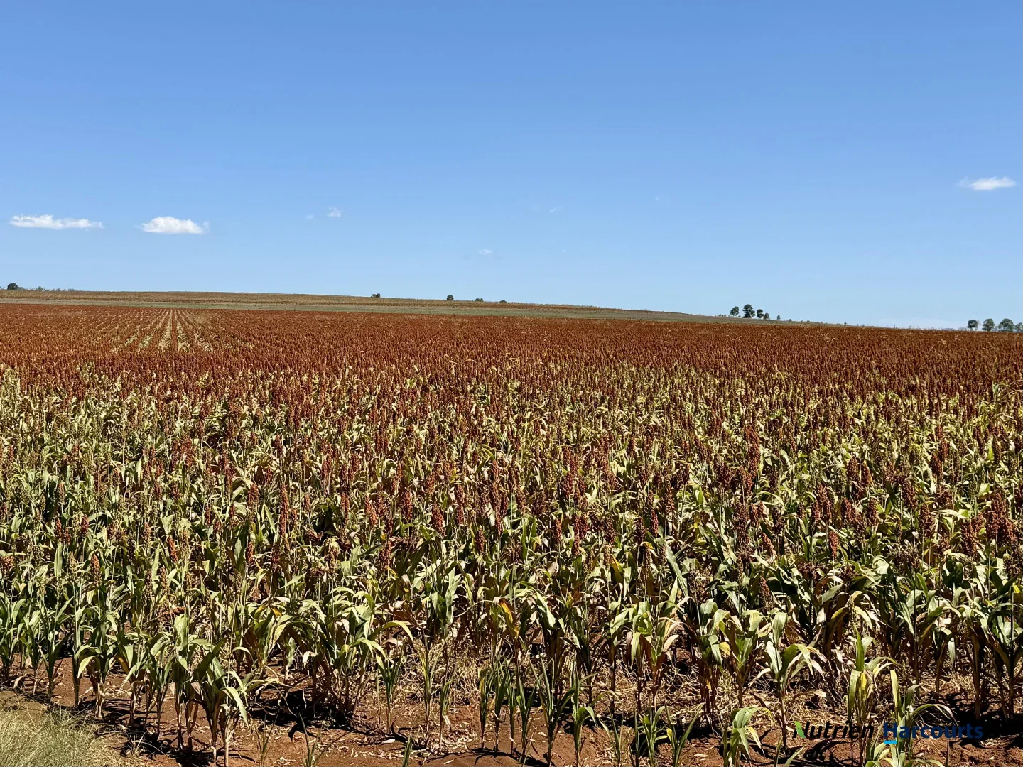 Additional image 29 of Lot 2 Reedy Creek Road, Benair QLD 4610