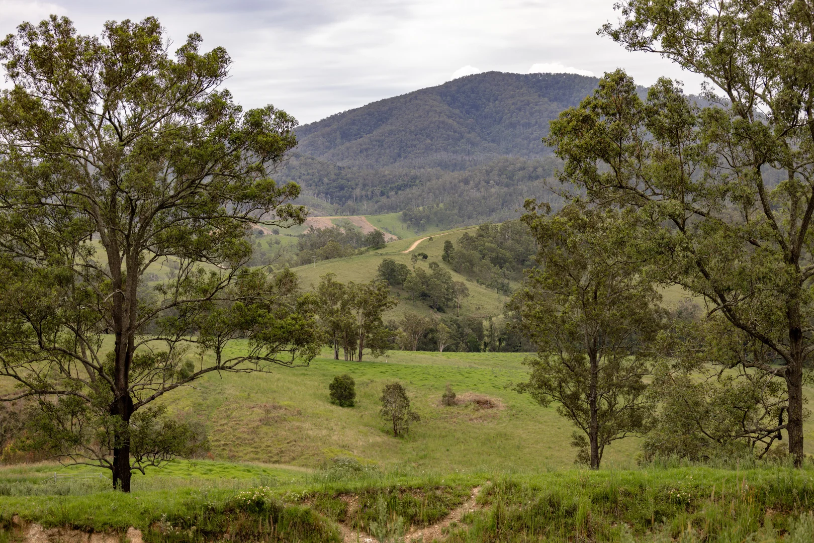 Additional image 10 of 141 Khatambuhl Creek Road, Mount George NSW 2424
