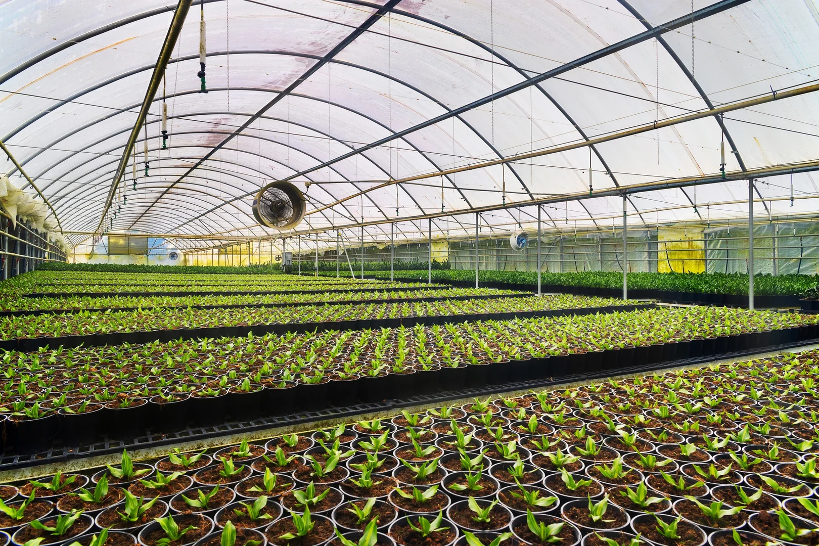 Additional image 18 of 659 Federal Drive, Federal NSW 2480