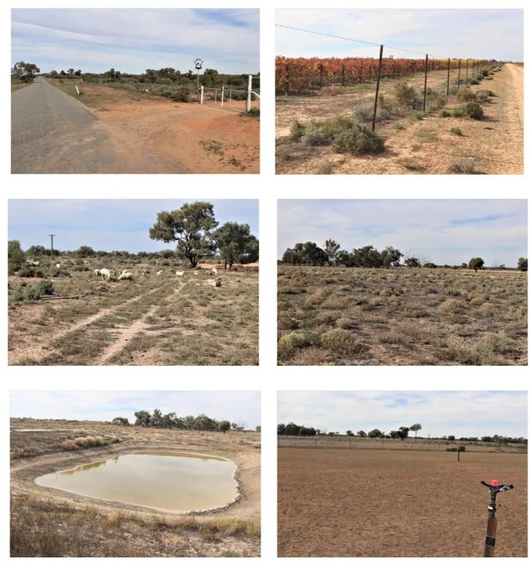 Additional image 12 of 123 Budgie Street, Menindee NSW 2879
