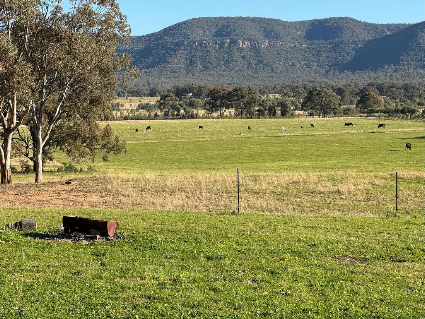 Additional image 64 of 207 Redmanvale Road, Jerrys Plains NSW 2330