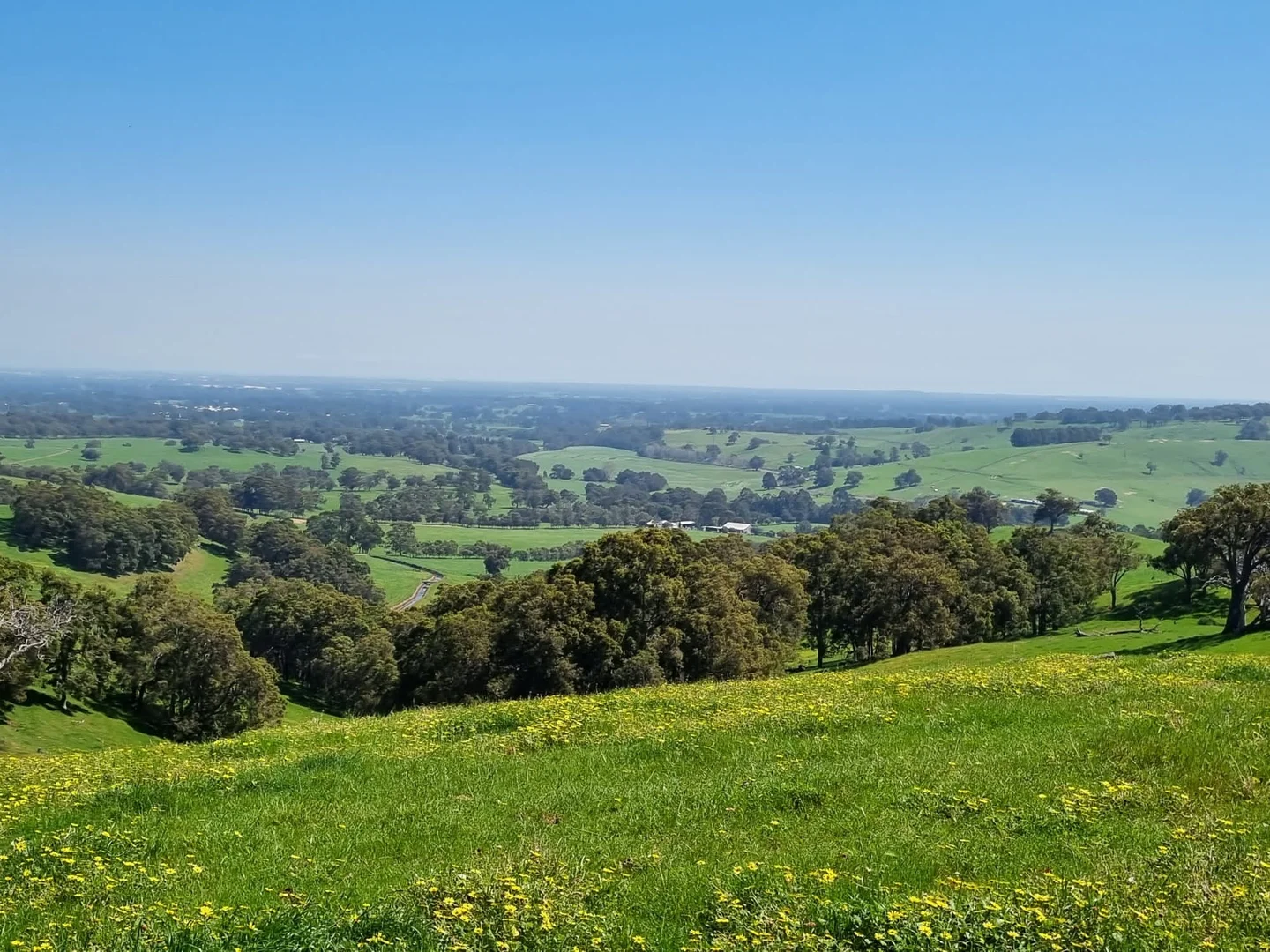 Additional image 11 of Lot 8 Catalano Road, Burekup WA 6227