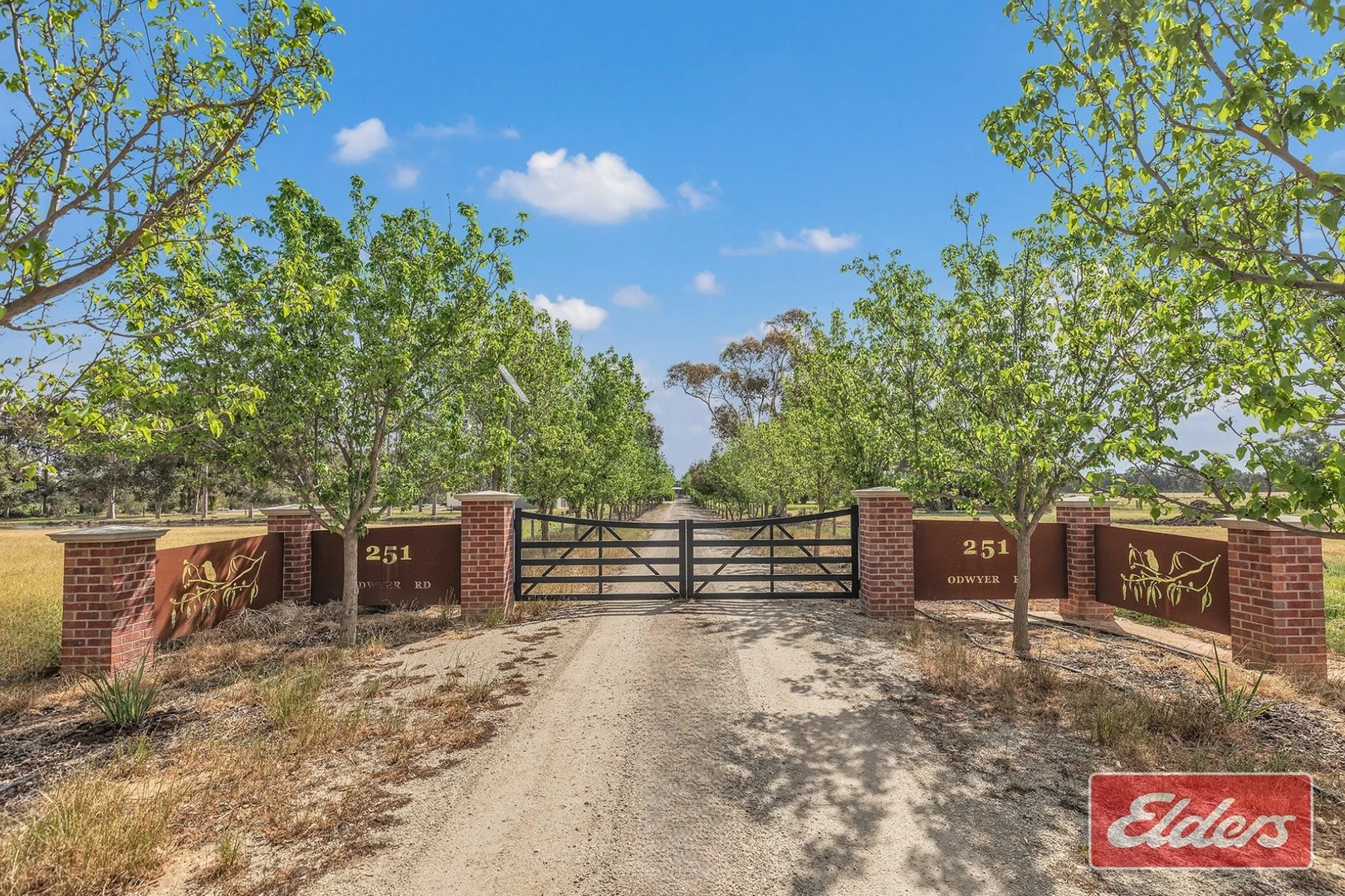 251 O'Dwyer Road, Wharparilla VIC 3564