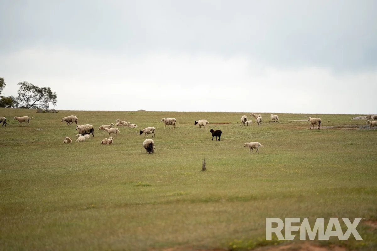 Additional image 29 of 417 Twelve Mile Road, Yarragundry NSW 2650