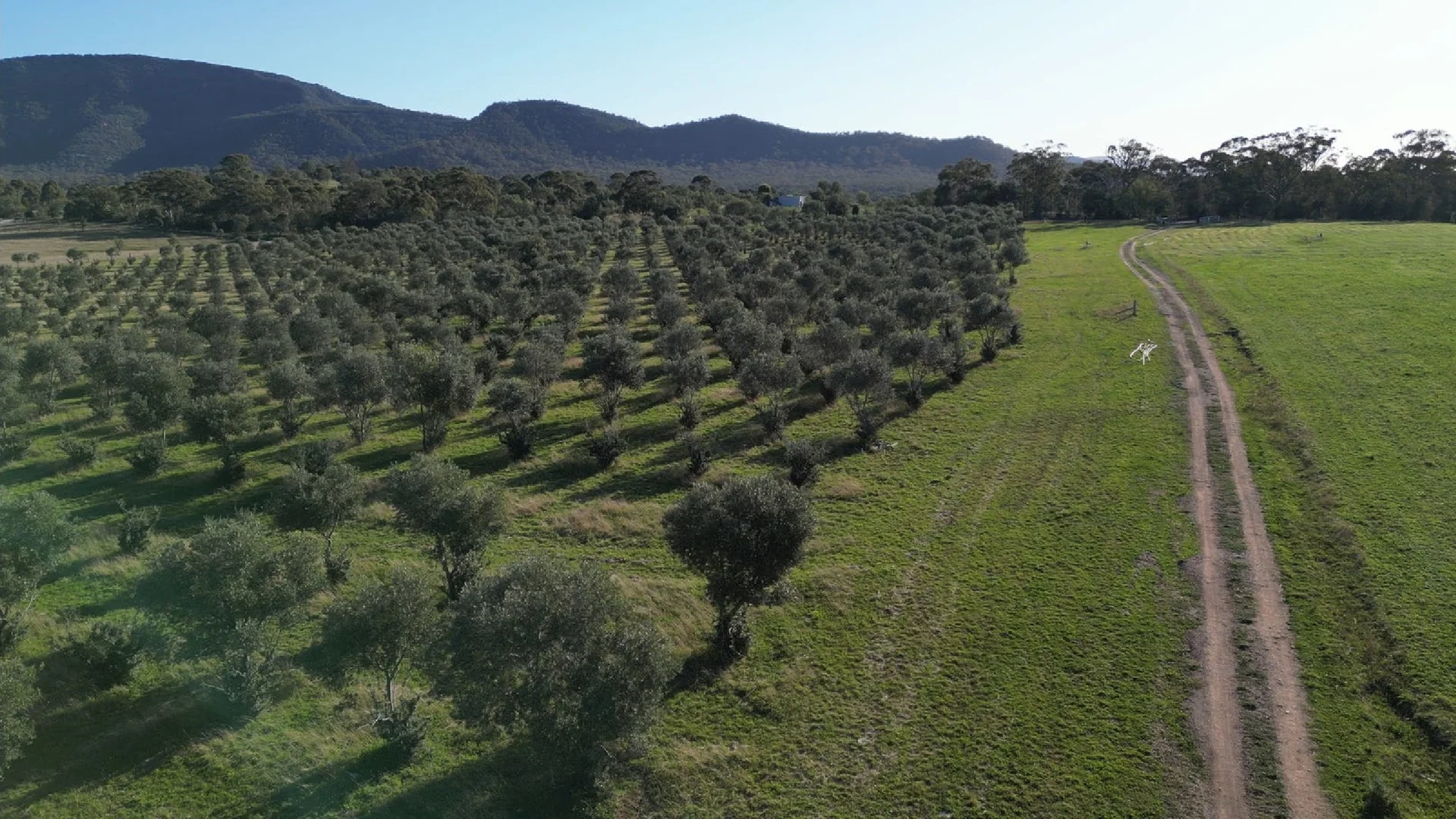 Additional image 52 of 207 Redmanvale Road, Jerrys Plains NSW 2330