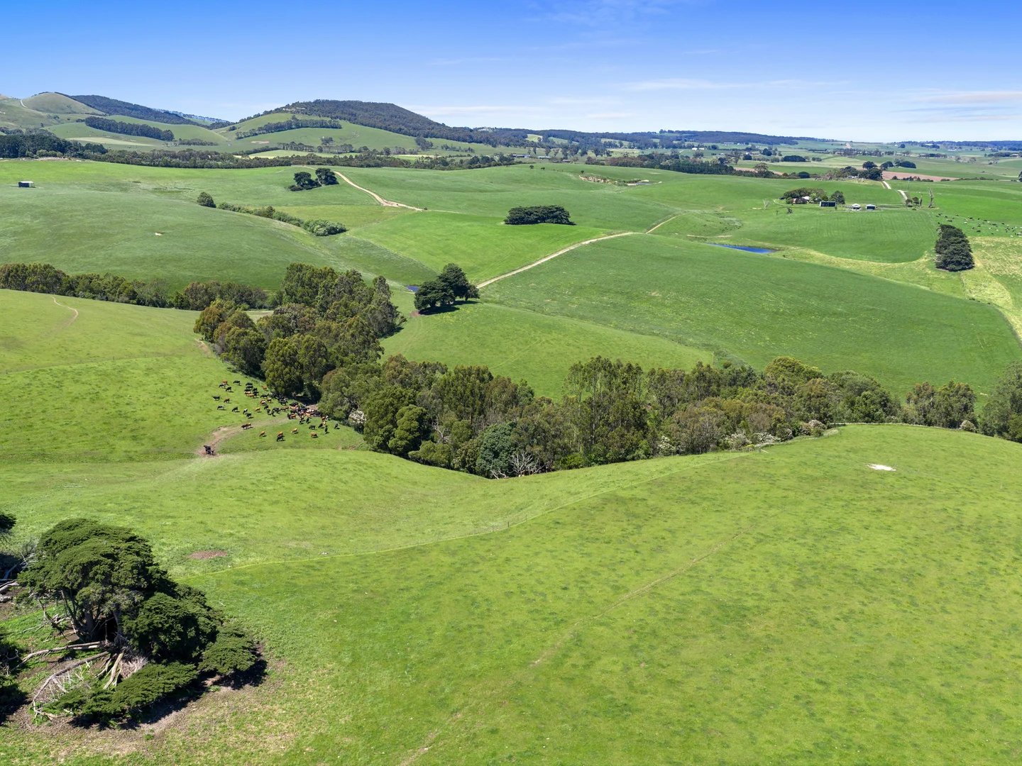 Additional image 7 of 86 Shields Road, Fish Creek VIC 3959