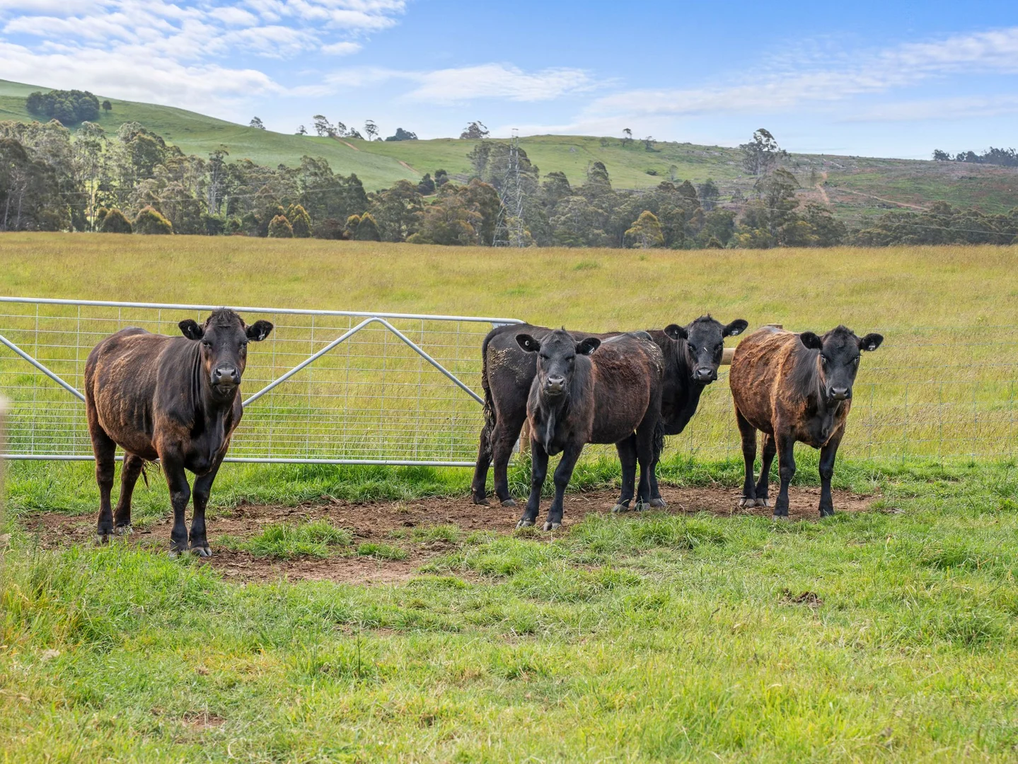 Additional image 25 of Dalwood Road, Nook TAS 7306