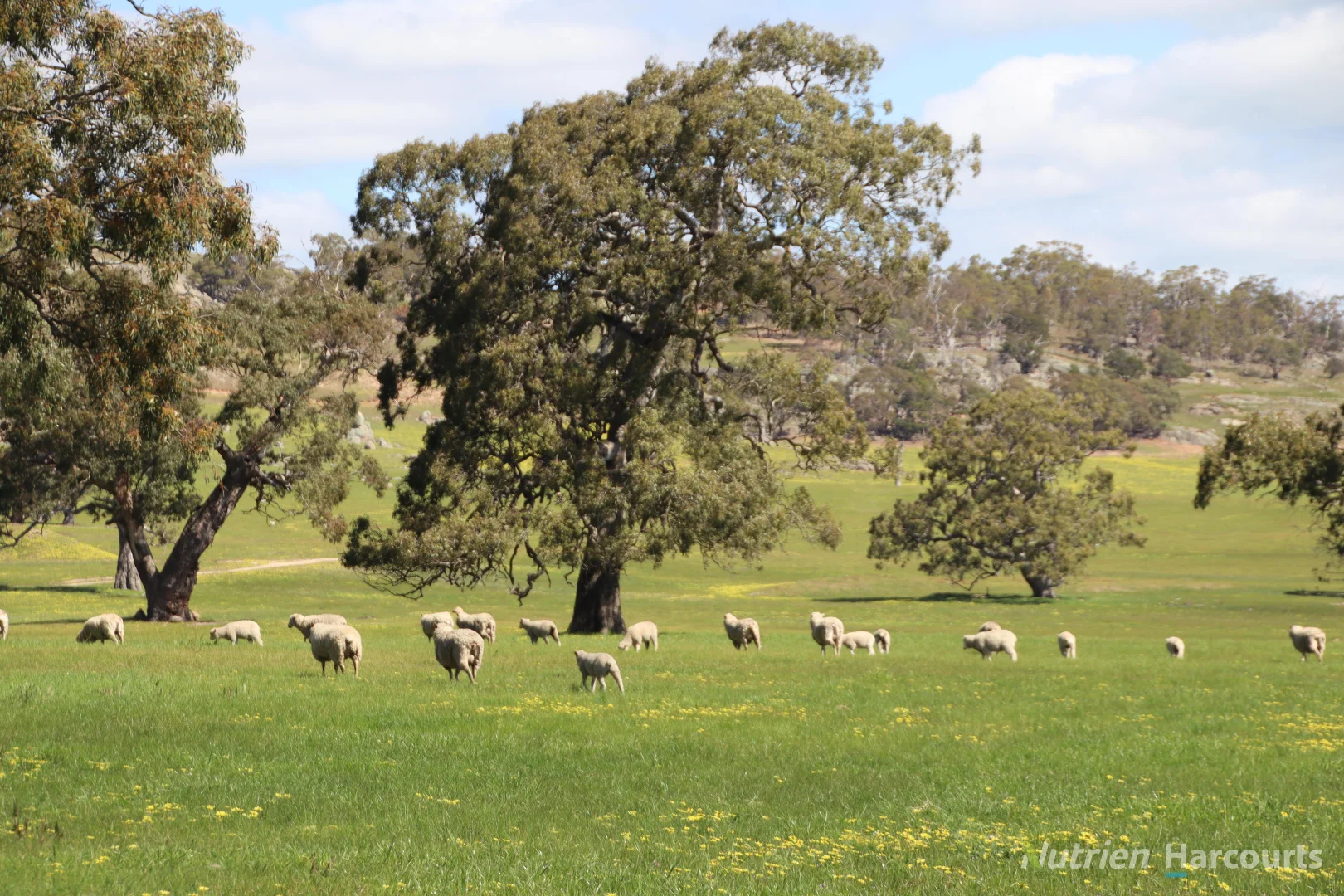 Additional image 8 of Lot 2 Beaufort-Waubra Road, Ercildoune VIC 3352