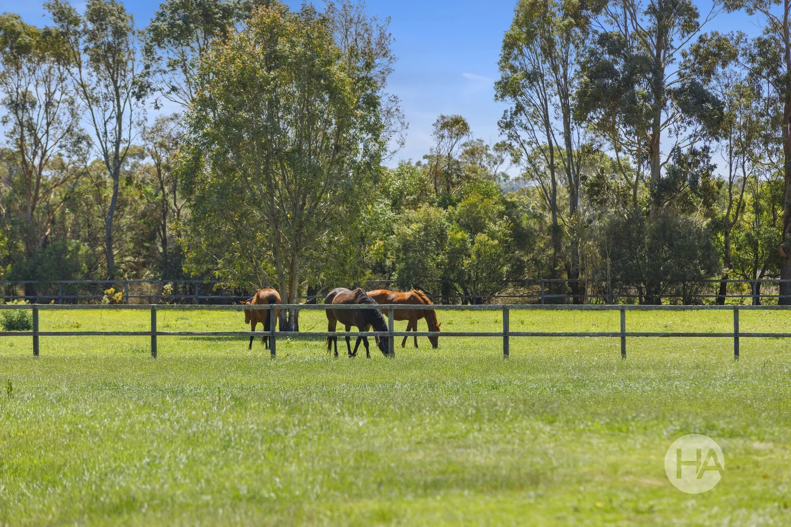 Additional image 16 of 208 Eramosa Road West, Moorooduc VIC 3933
