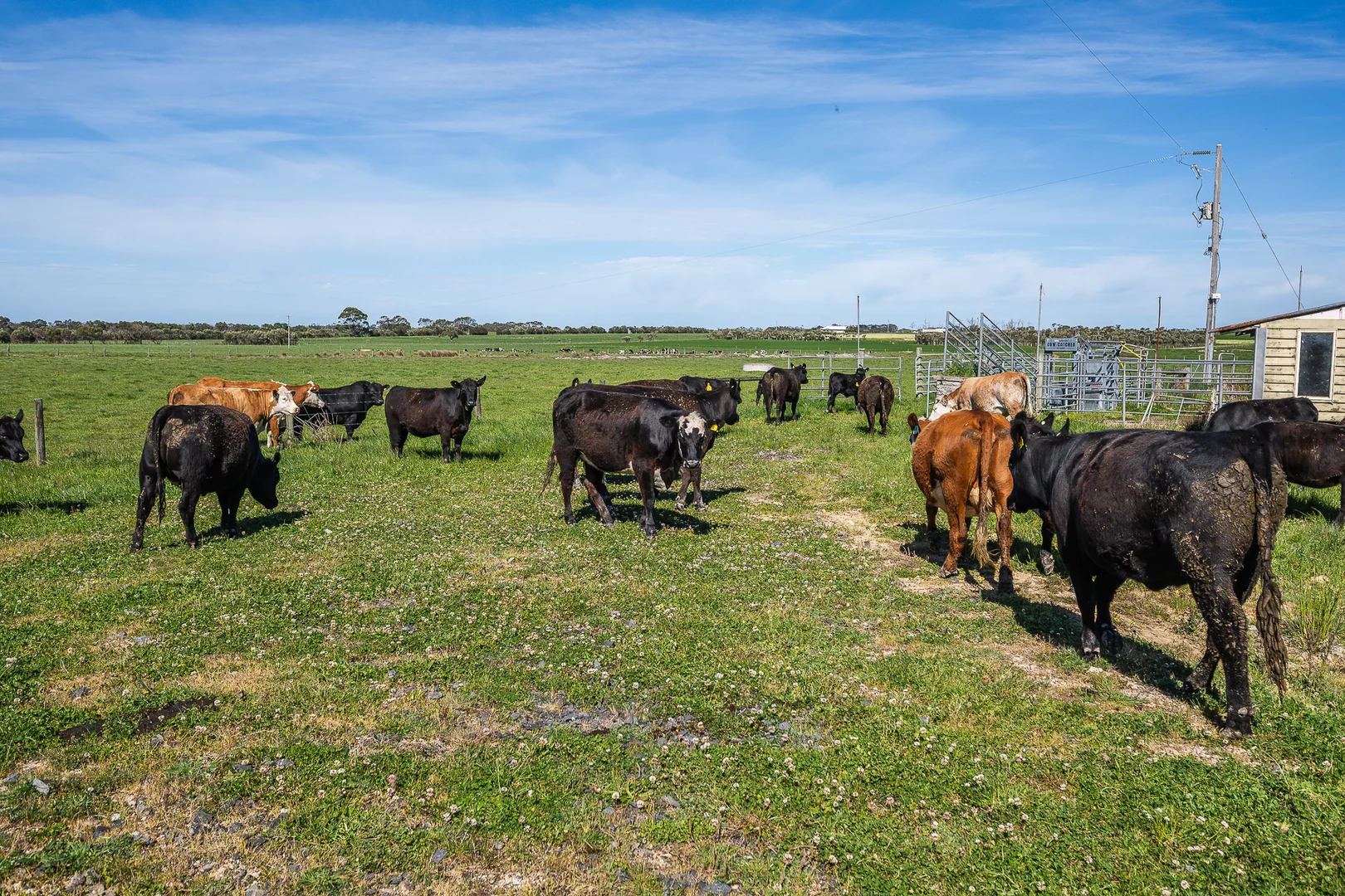 Additional image 9 of 180 Pound Creek Road, Pound Creek VIC 3996