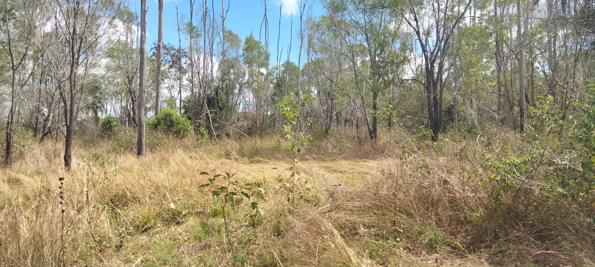 Additional image 32 of 3359 Lowmead Road, Lowmead QLD 4676