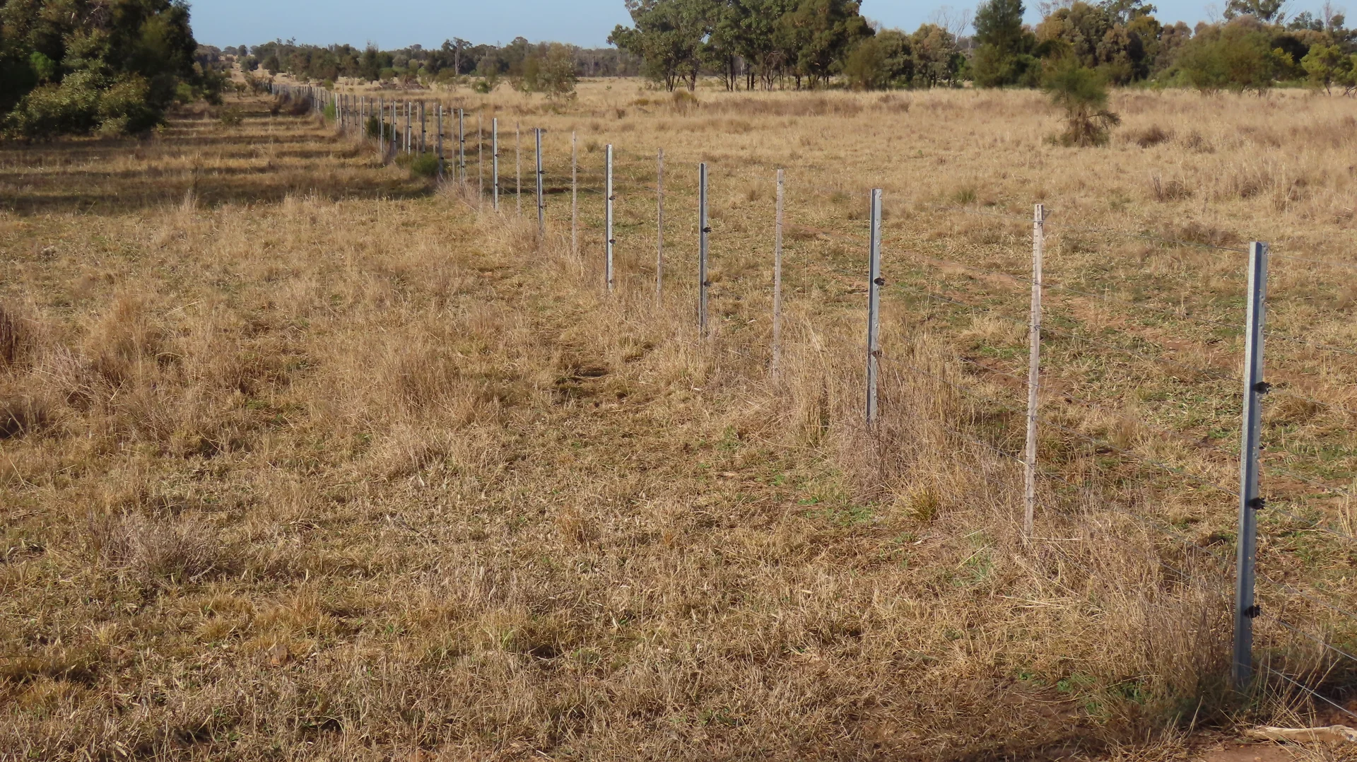 Additional image 14 of "Arrowfield"  648 Spinks Road, Goondiwindi QLD 4390