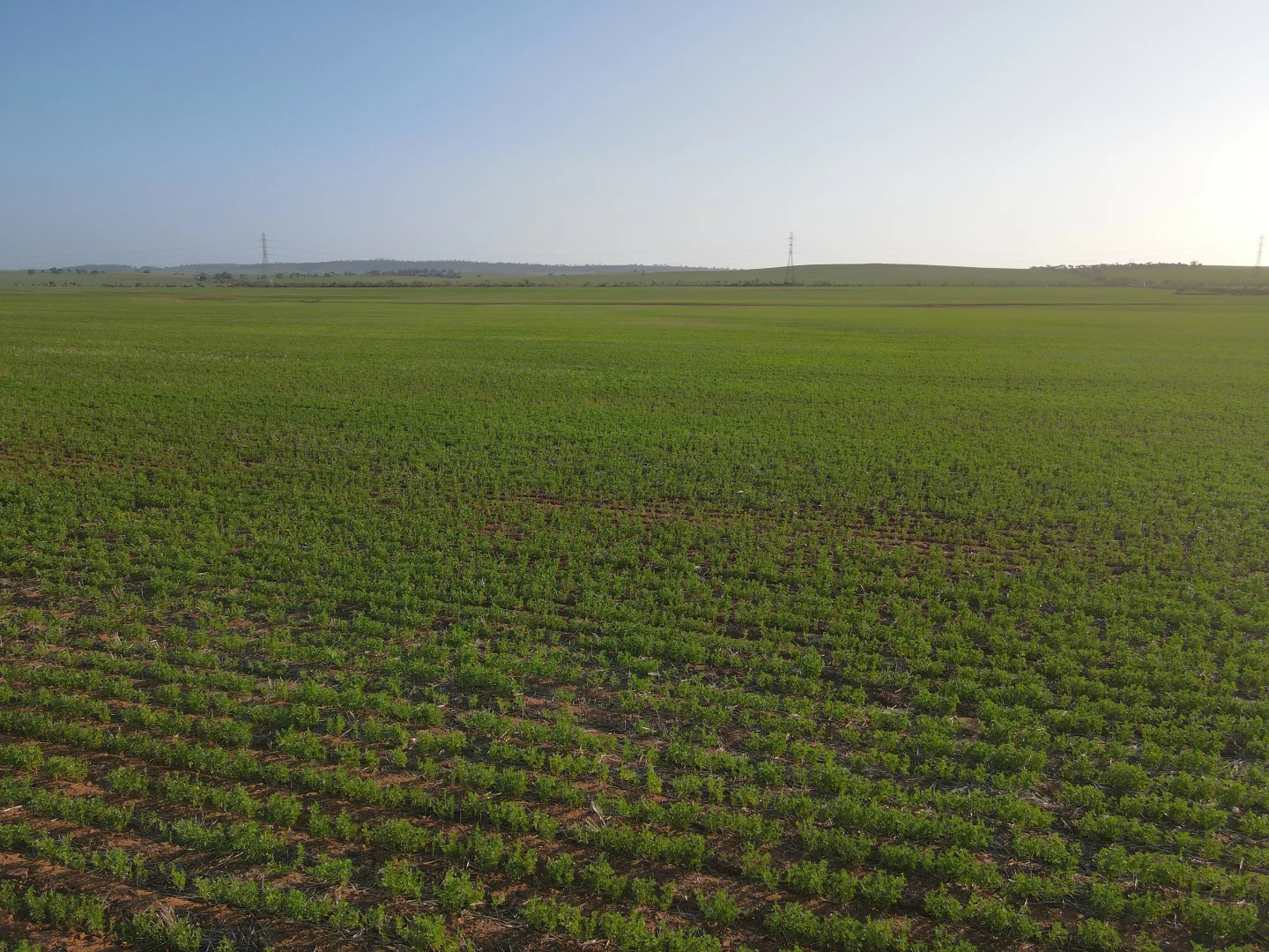 Additional image 5 of 222 Nicholls Rd, Booleroo Centre SA 5482