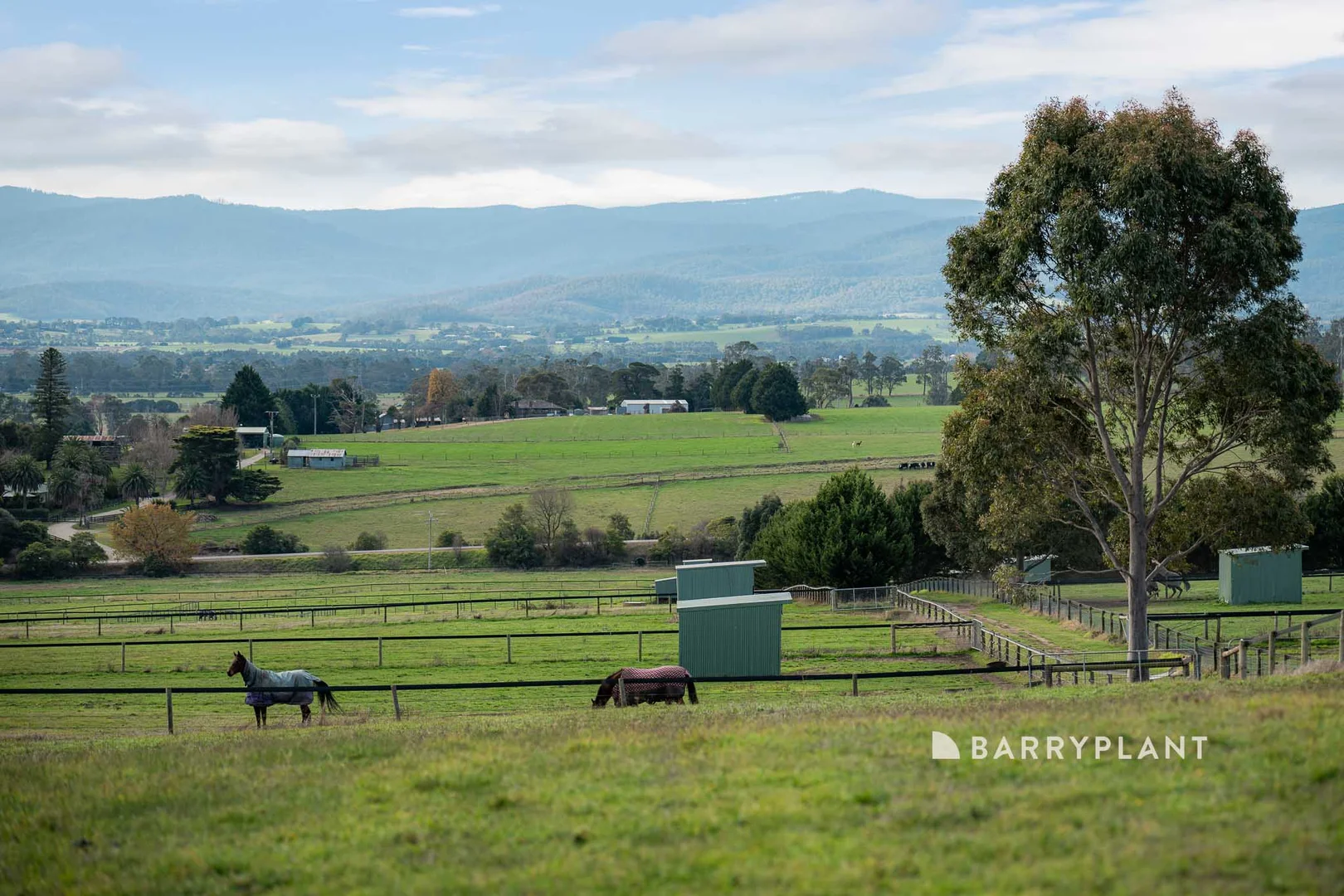 Additional image 5 of 292 Longwarry-Drouin Road, Longwarry VIC 3816