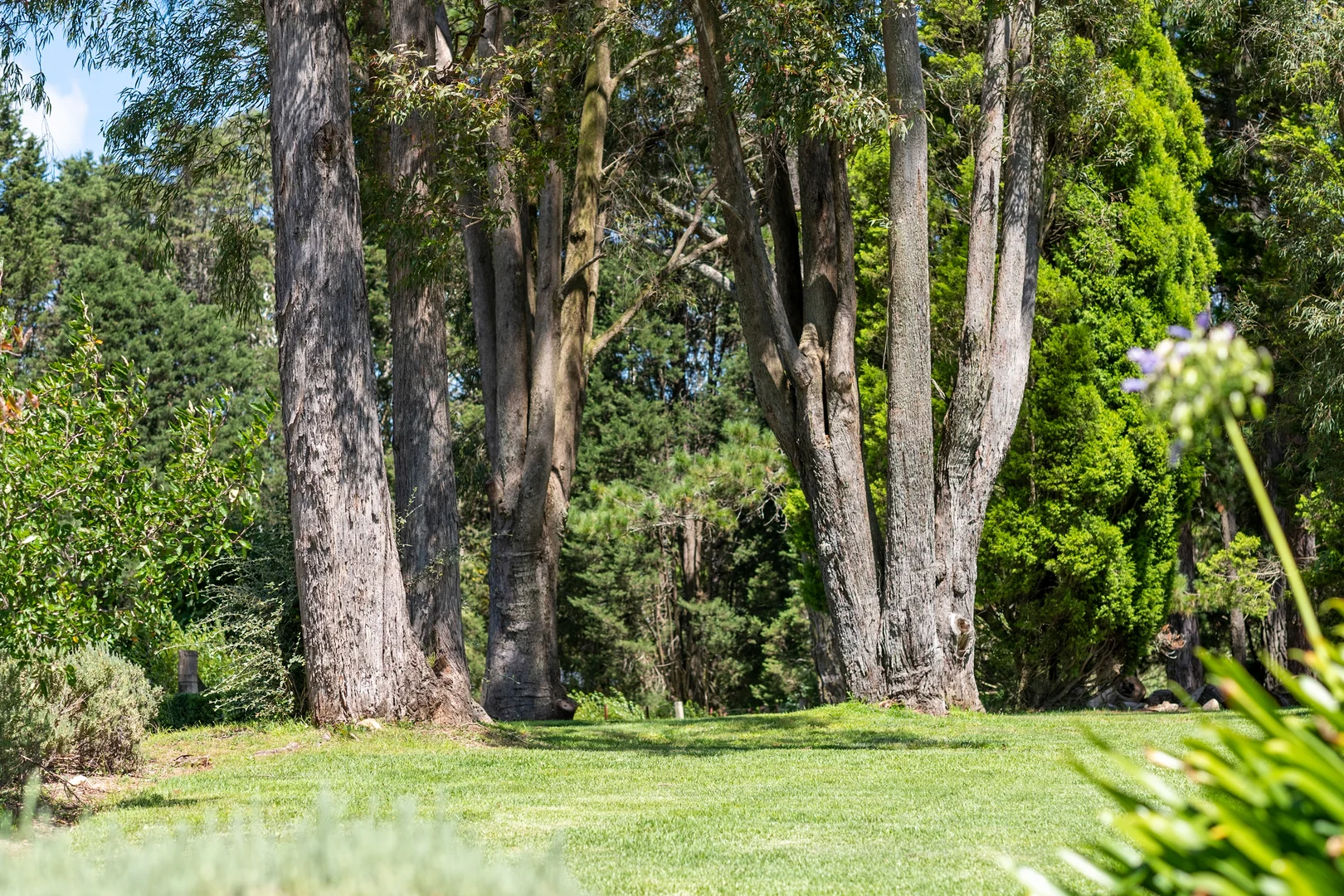 Additional image 28 of 58 Osborne Road, Burradoo NSW 2576