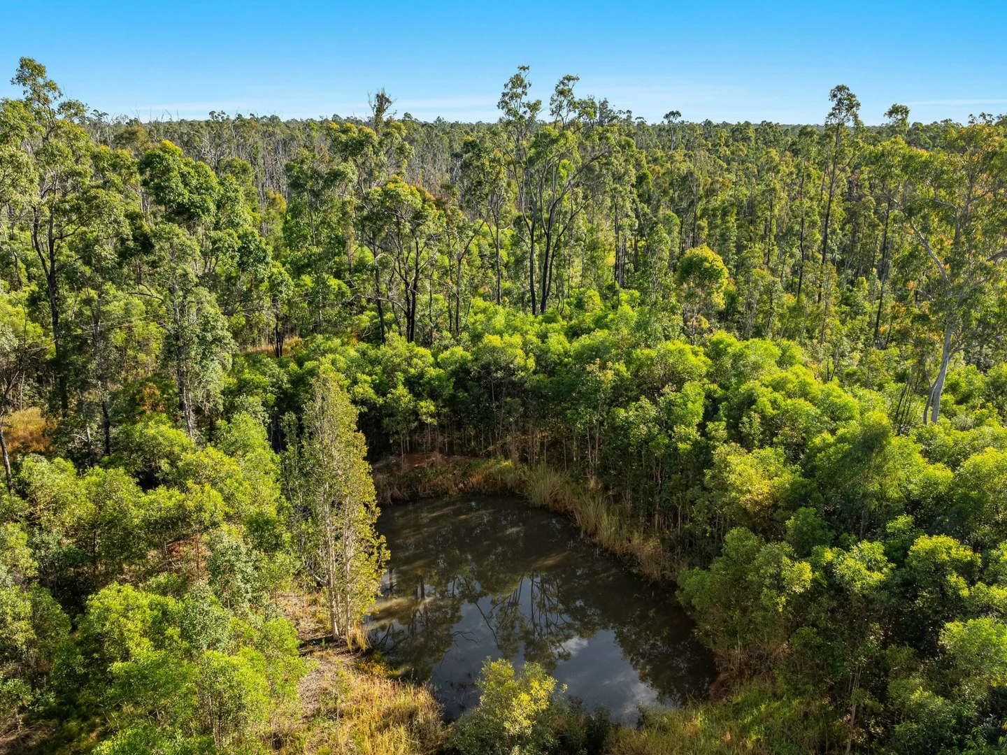 Additional image 5 of 2155 Myall Creek Road, West Bungawalbin NSW 2471