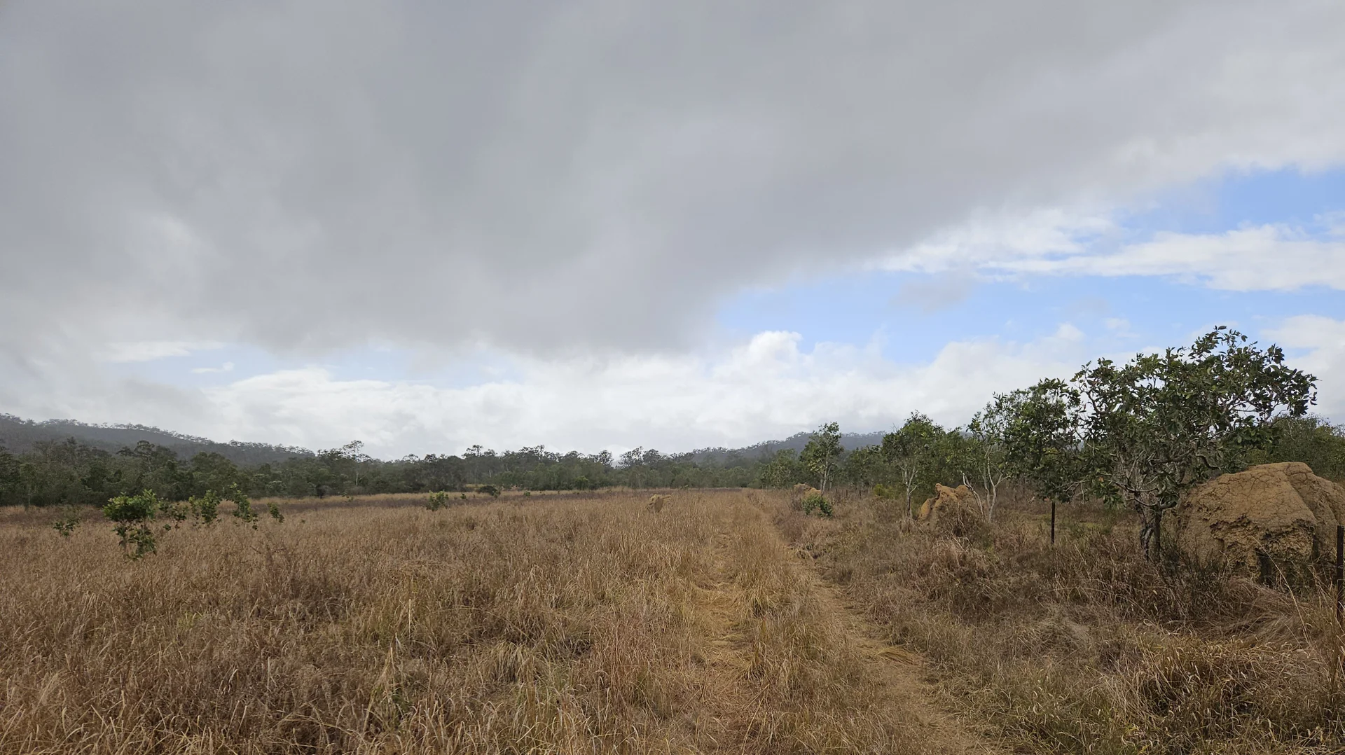 Additional image 19 of 158 Hodzic Rd, Biboohra QLD 4880