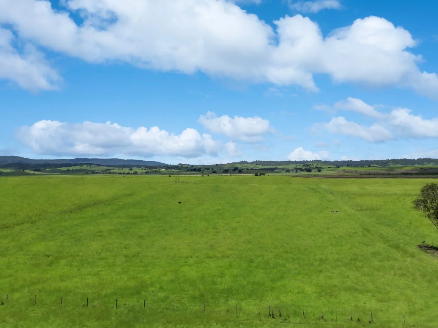 Additional image 3 of 89 O'Connors Road, Fairy Hill NSW 2470