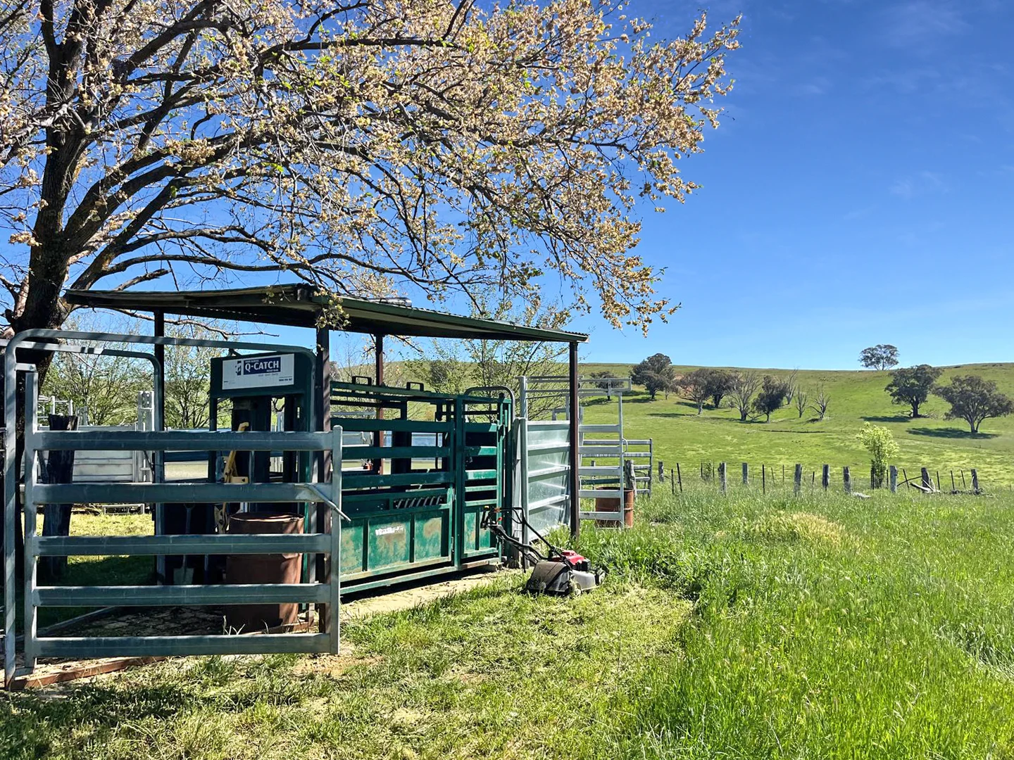 Additional image 23 of 'horse Gully' Old Waugoola Road, Woodstock NSW 2793