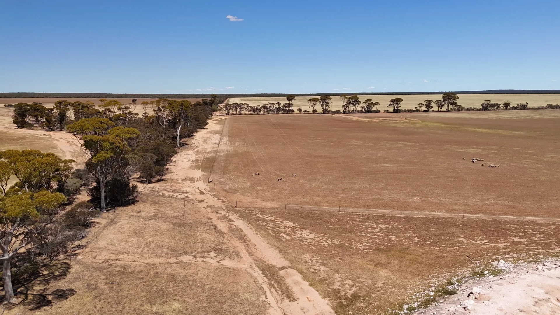 Additional image 6 of 3106 Meranda North Road, Holleton WA 6426