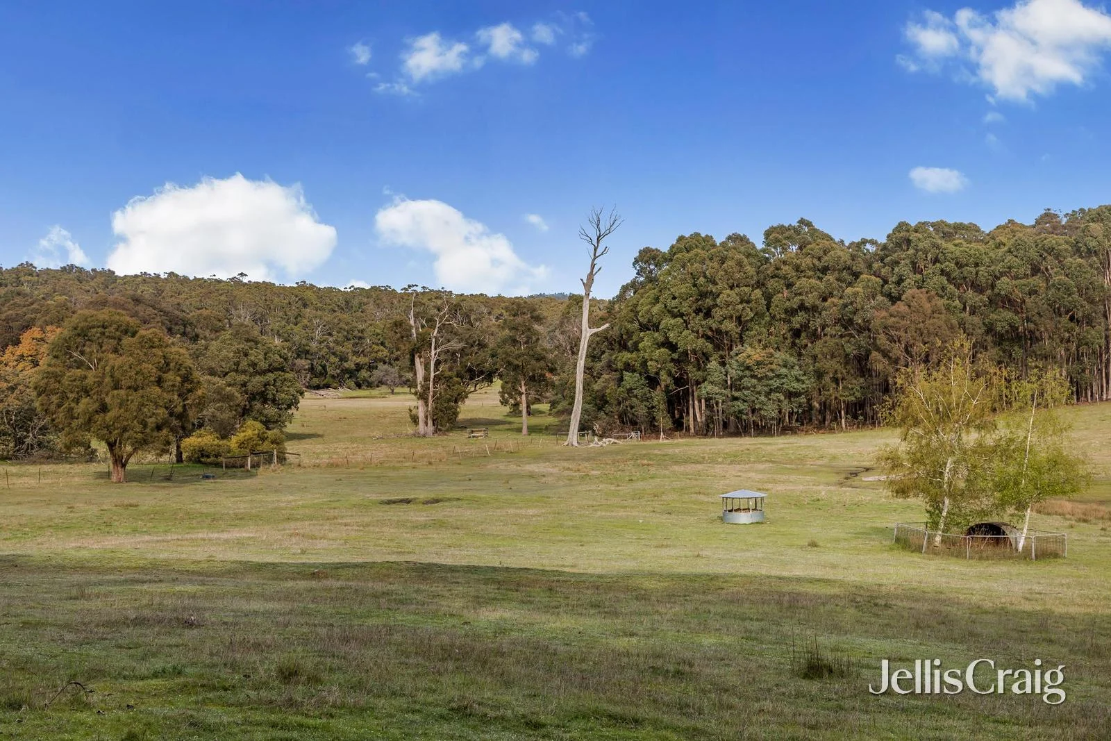 Additional image 14 of 85 Lightwood Drive, Wheatsheaf VIC 3461