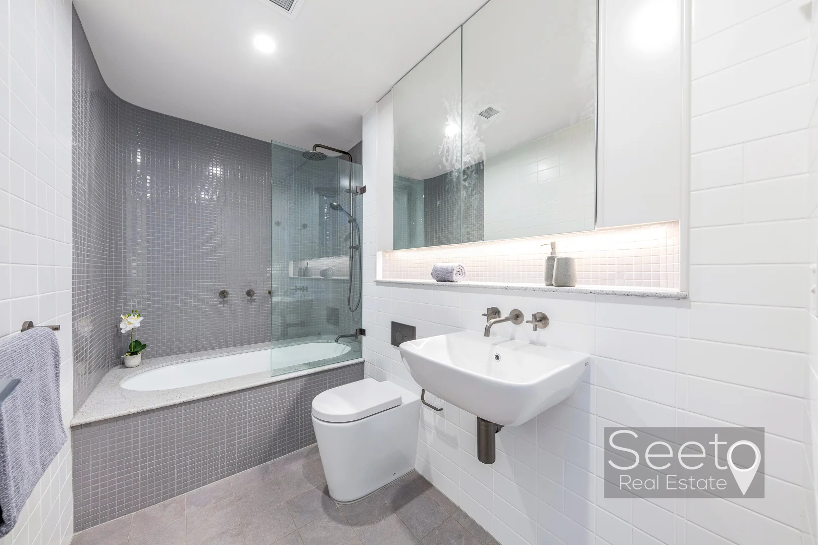 Additional image 16 of 50 Telopea Avenue, Homebush West NSW 2140