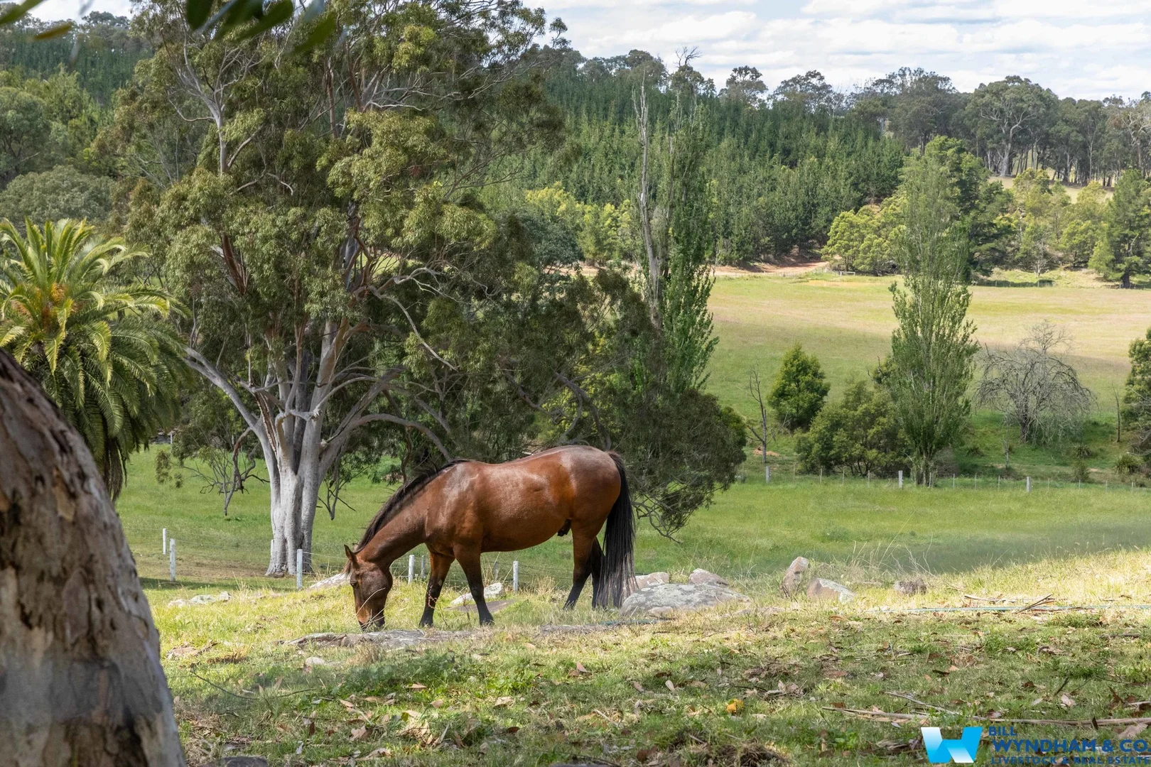 Additional image 29 of 3235 Bairnsdale - Dargo Road, Glenaladale VIC 3864
