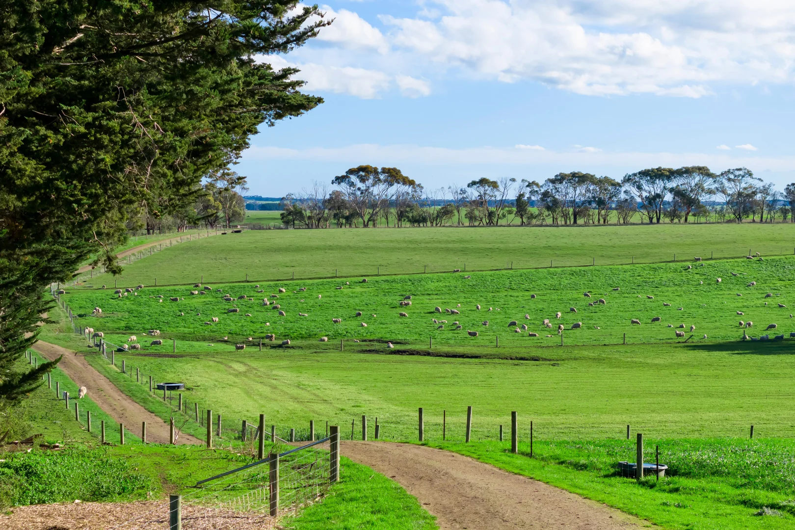 Additional image 11 of 63 Kellys Road, Panmure VIC 3265