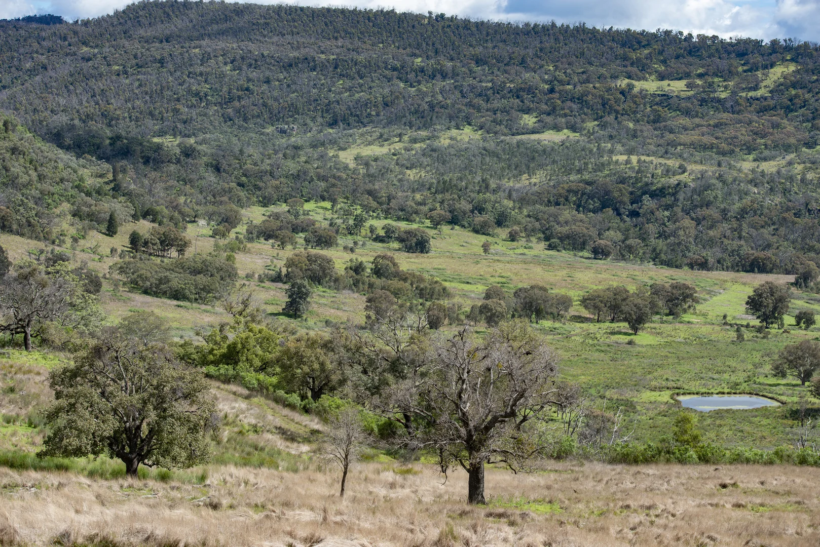 Additional image 36 of 1124 WARKTON ROAD, Coonabarabran NSW 2357