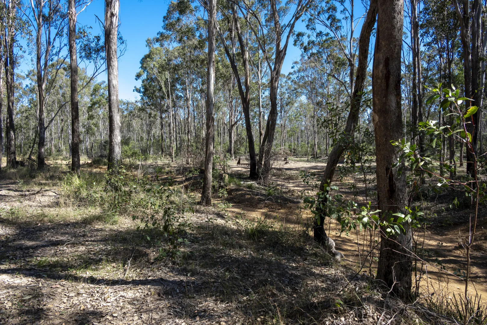 Additional image 16 of 151 Cameron Road, Taromeo QLD 4314