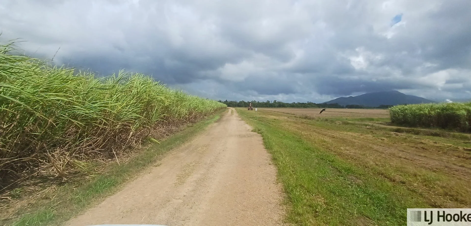 Additional image 14 of Lot 1 Jack Evans Drive, Silky Oak QLD 4854