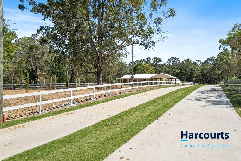 Additional image 6 of Lot 1/45 Richards Court, Bellmere QLD 4510