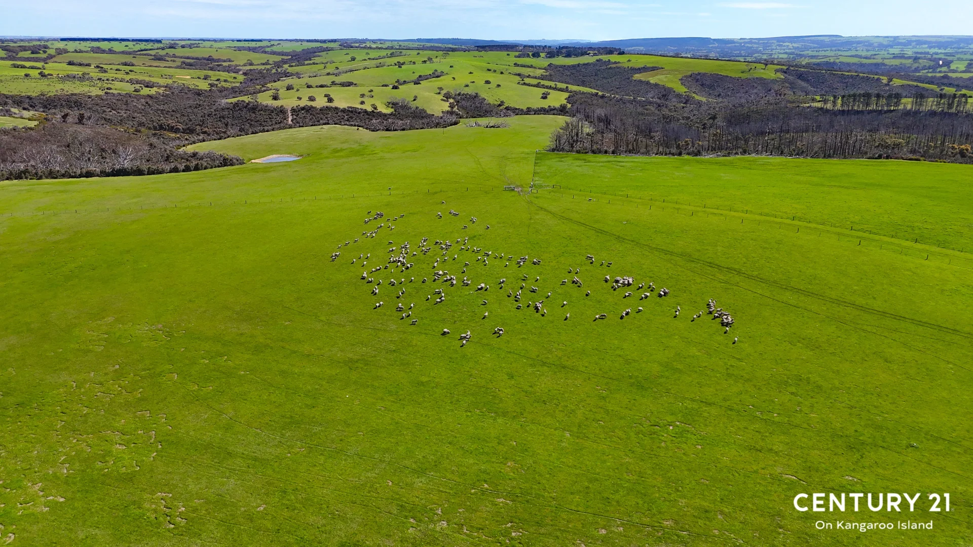 Additional image 11 of 2265 Playford Highway, Kohinoor SA 5223