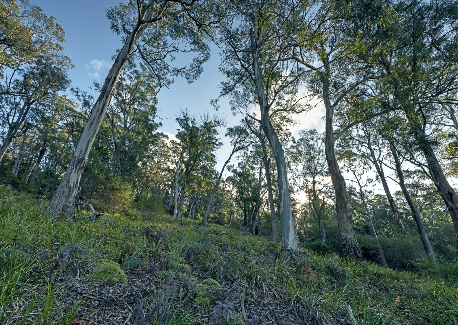 Additional image 6 of 367 Binalong Bay Road, St Helens TAS 7216