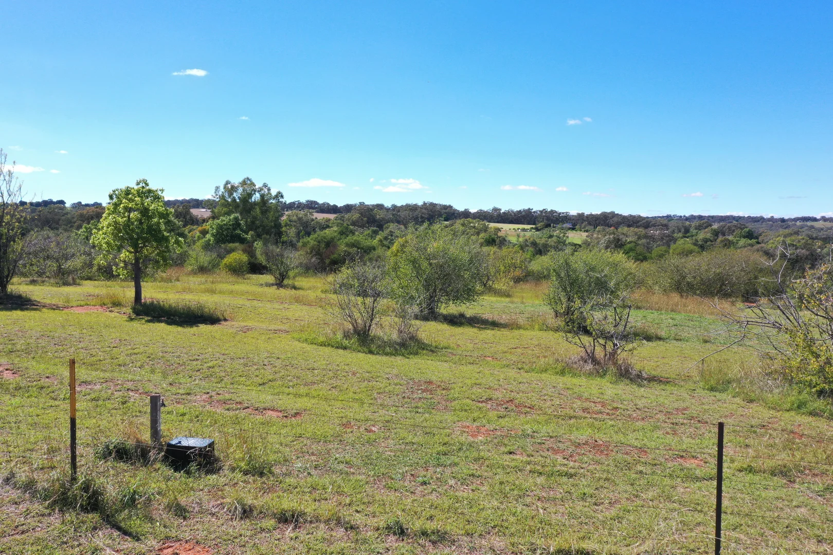 Additional image 6 of 84-90 Hills Street, Young NSW 2594
