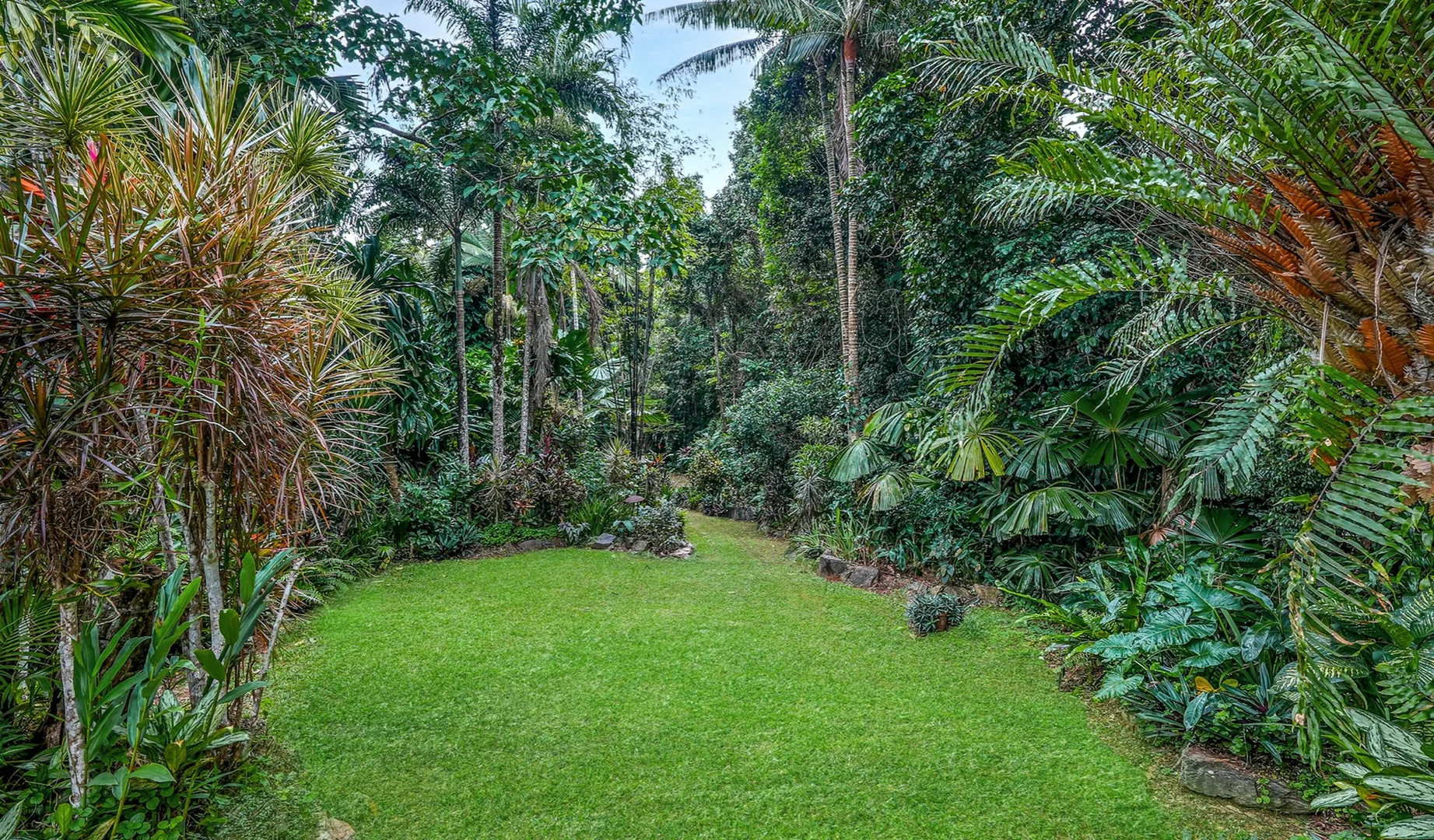 Additional image 22 of 257 Cape Kimberley Road, Daintree QLD 4873