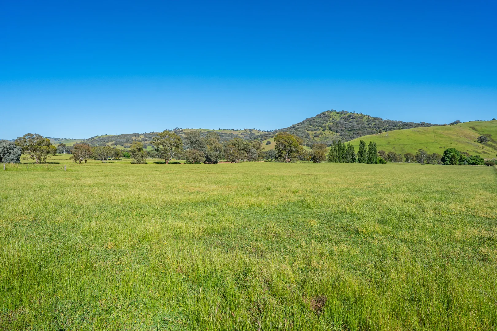 Additional image 17 of 60 Darmodys Road, Leneva VIC 3691