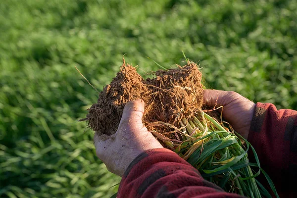 Additional image 6 of 542 Haby & 832 Bolt Road, Nildottie SA 5238