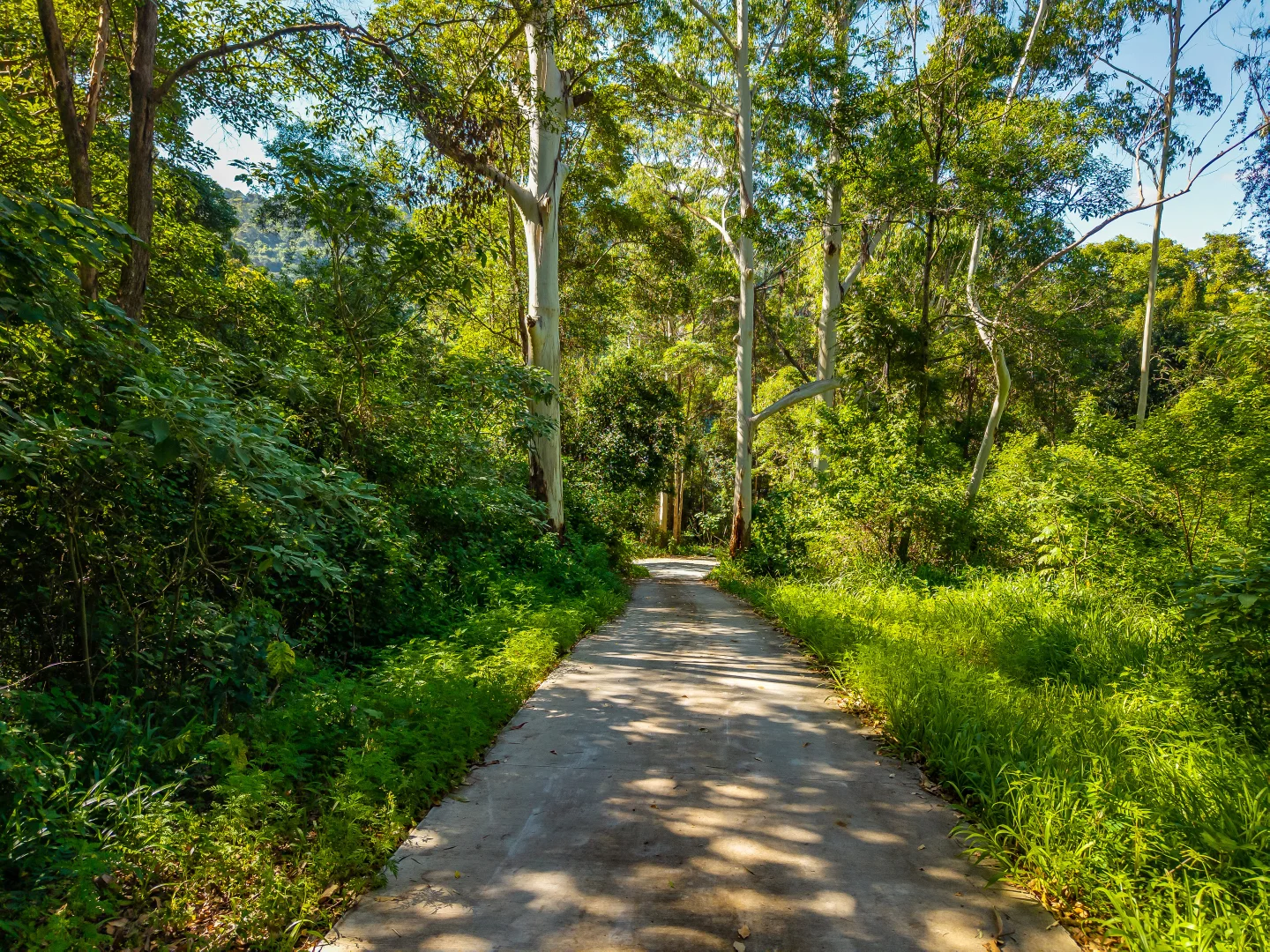 Additional image 11 of 196-276 Kaiser Road, Tamborine Mountain QLD 4272